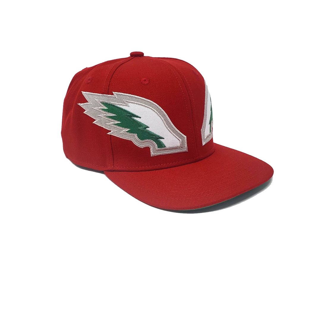 red philadelphia eagles hat